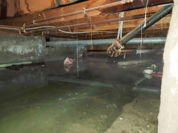 Best Water damage cleanup near me  in Catonsville, MD