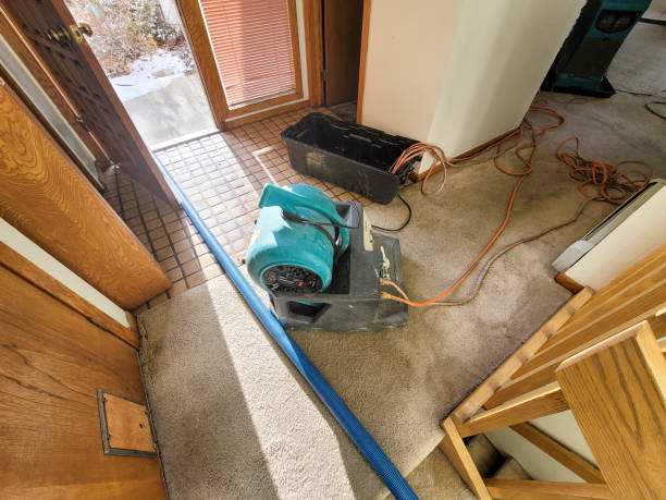 Carpet water damage restoration in MD