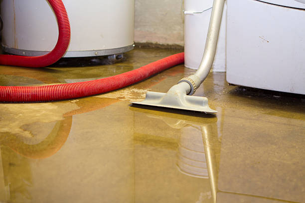  Catonsville, MD Water damage restoration Pros
