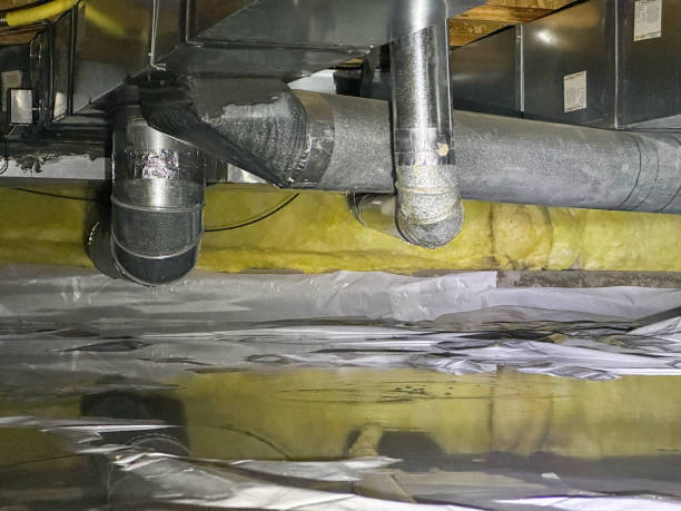 Best Water damage restoration near me  in Catonsville, MD